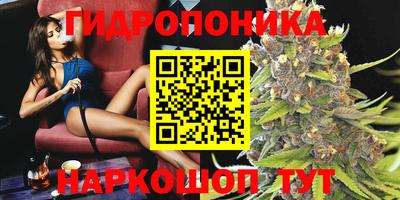 спиды Будённовск