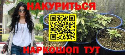 спиды Будённовск