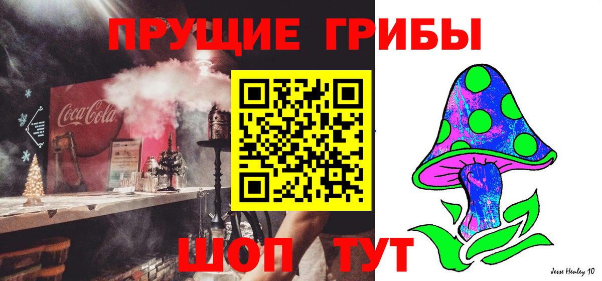 Арсеньев  Галлюциногенные грибы Cubensis  Вход с VPN  Псилоцибиновые грибы Cubensis 