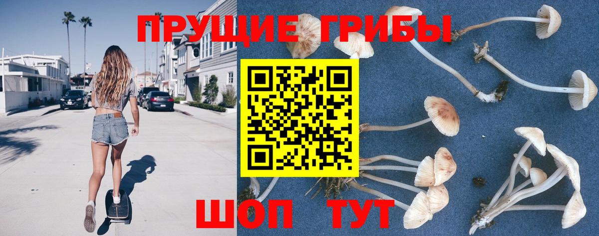 Псилоцибиновые грибы мухоморы Арсеньев
